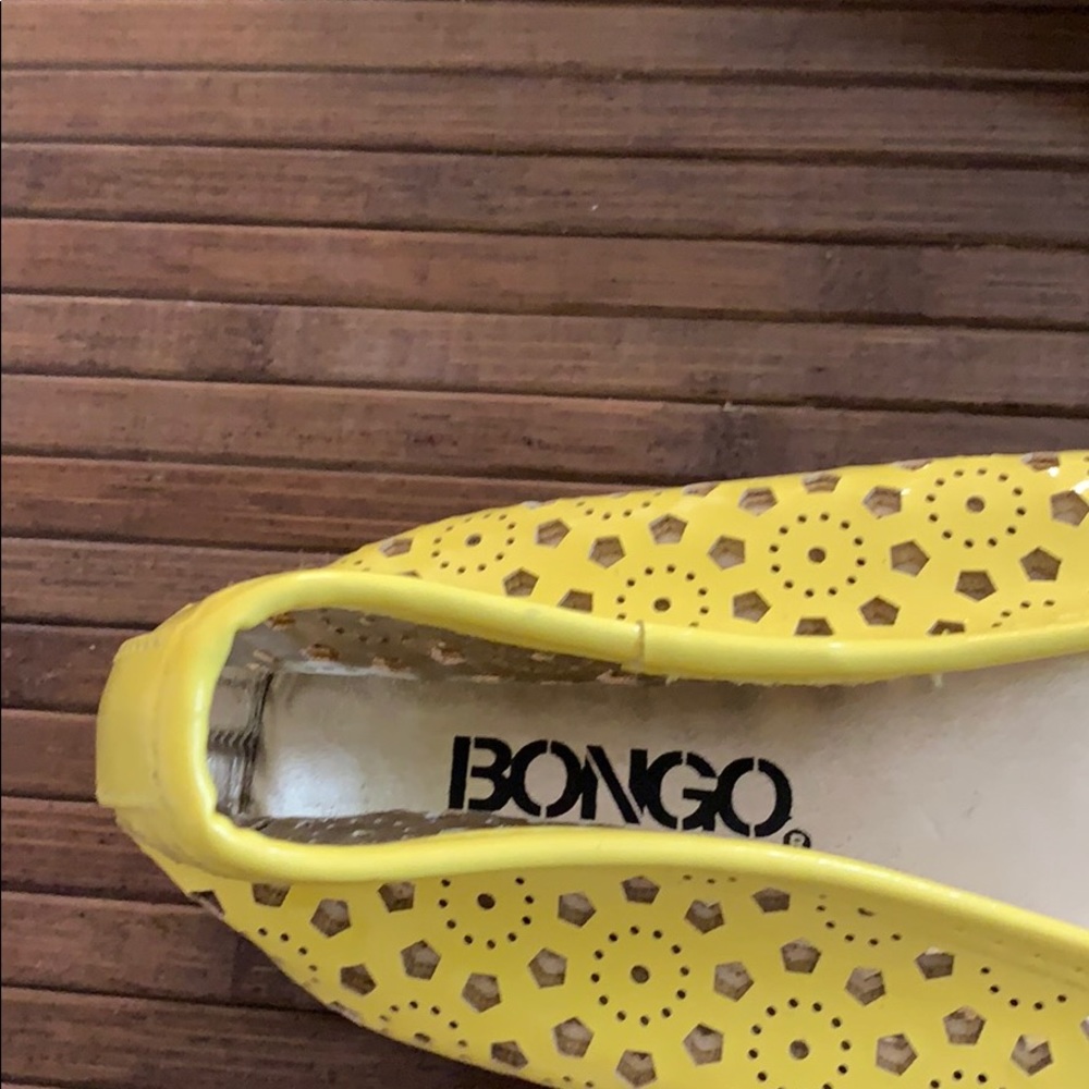 Bongo Flats - image 2